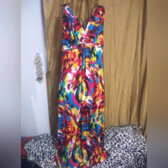 Steinmart Other - Stunning Spring Dress/Cover up